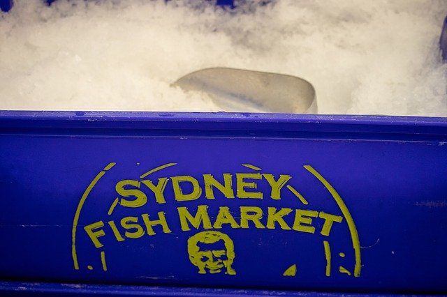 Unduh gratis Sydney Fish Market Ice - foto atau gambar gratis untuk diedit dengan editor gambar online GIMP