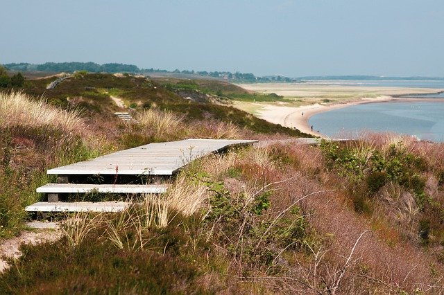 Free download Sylt Braderup Heath Boardwalks -  free photo or picture to be edited with GIMP online image editor