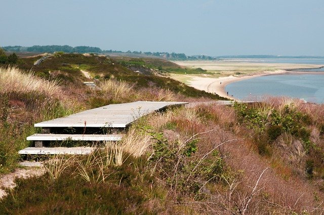 Unduh gratis Sylt Braderup Heath Boardwalks - foto atau gambar gratis untuk diedit dengan editor gambar online GIMP