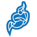 SYP Jitsi Desktop Streamer  screen for extension Chrome web store in OffiDocs Chromium SYP Jitsi Desktop Streamer  screen for extension Chrome web store in OffiDocs Chromium