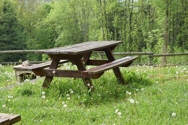 دانلود رایگان Table Grass Nature - عکس یا تصویر رایگان قابل ویرایش با ویرایشگر تصویر آنلاین GIMP