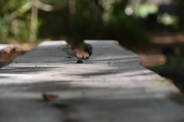 무료 다운로드 Table Wood - 무료 사진 또는 GIMP 온라인 이미지 편집기로 편집할 사진