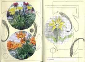 Taccuino di agronomia GIMP online editor free Free download Taccuino di agronomia free photo or picture to be edited with GIMP online image editor