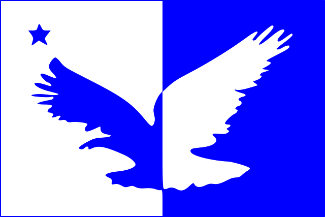 ດາວໂຫຼດຟຣີ Taguatinga Flag Banner - ຮູບພາບ vector ຟຣີໃນ Pixabay ຮູບພາບທີ່ບໍ່ເສຍຄ່າເພື່ອແກ້ໄຂດ້ວຍ GIMP ບັນນາທິການຮູບພາບອອນໄລນ໌ຟຣີ