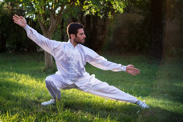 Free download taiji tai chi qi gong chi kung free picture to be edited with GIMP free online image editor