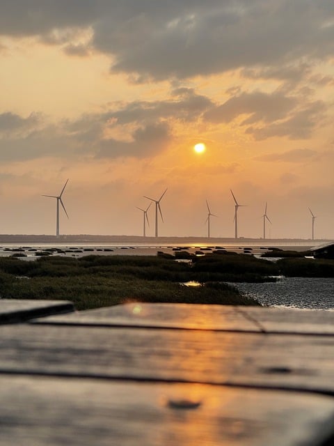 Free download taiwan sea sunset landscape nature free picture to be edited with GIMP free online image editor