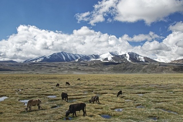 Free download Tajikistan The Pamir Mountains -  free free photo or picture to be edited with GIMP online image editor