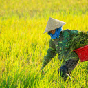 Taking care of fields  screen for extension Chrome web store in OffiDocs Chromium