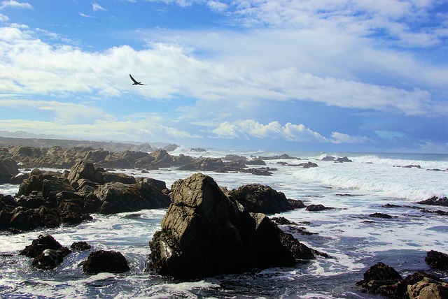 Free download talahi coastal coast beach waves free picture to be edited with GIMP free online image editor