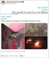 Free download Taliban killed in Laghman province free photo or picture to be edited with GIMP online image editor
