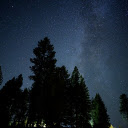 Tall trees and stars at night  screen for extension Chrome web store in OffiDocs Chromium