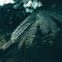 Tamarind leaves  screen for extension Chrome web store in OffiDocs Chromium