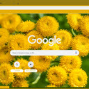Tansy  screen for extension Chrome web store in OffiDocs Chromium