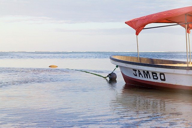 Unduh gratis Tanzania Zanzibar Afrika - foto atau gambar gratis untuk diedit dengan editor gambar online GIMP