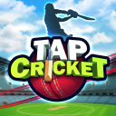 Tap Cricket Game  screen for extension Chrome web store in OffiDocs Chromium