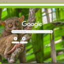 Tarsier  screen for extension Chrome web store in OffiDocs Chromium