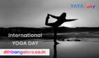 Free download Tata Sky New Connection At Bangalore Dthbangalore.co.in free photo or picture to be edited with GIMP online image editor