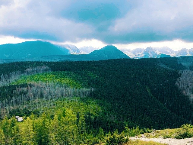 Download gratuito Tatry Zakopane Góry - foto o immagine gratuita da modificare con l'editor di immagini online GIMP