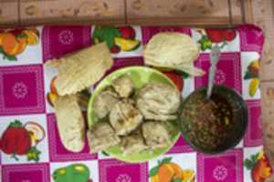 Free download Tayuyo 1 free photo or picture to be edited with GIMP online image editor