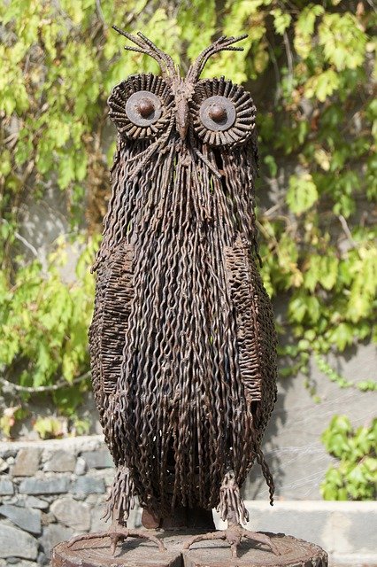 Free picture Tbilisi Botanical Garden Owl -  to be edited by GIMP free image editor by OffiDocs