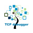 TCP Socket debugger  screen for extension Chrome web store in OffiDocs Chromium