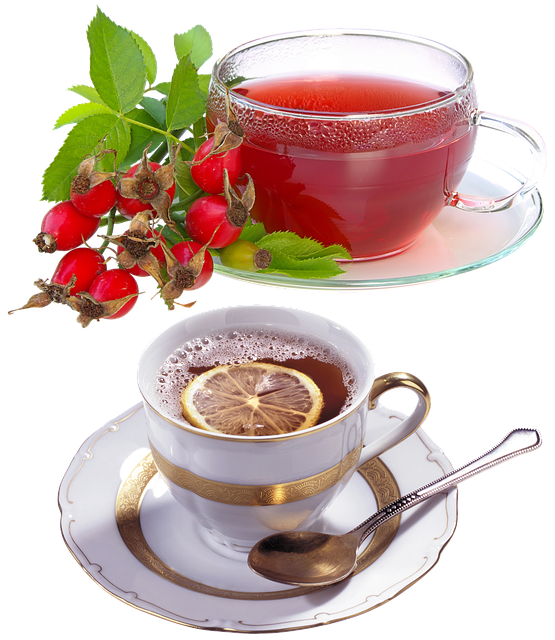 Descărcare gratuită Tea A Cup Of Slice Lemon - fotografie sau imagini gratuite pentru a fi editate cu editorul de imagini online GIMP