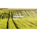 tea garden  screen for extension Chrome web store in OffiDocs Chromium