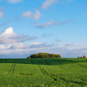 tea hills  screen for extension Chrome web store in OffiDocs Chromium