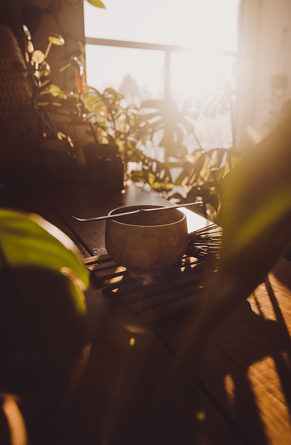 Free download tea matcha green tea morning free picture to be edited with GIMP free online image editor