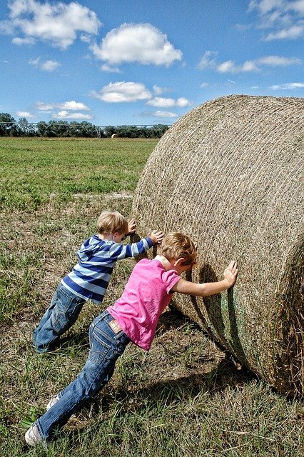 Free download teamwork farm workers co operation free picture to be edited with GIMP free online image editor