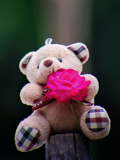 Free download teddy bear plushie stuffed animal free picture to be edited with GIMP free online image editor