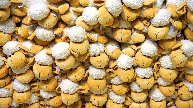 دانلود رایگان Teddy Bears Toys Stuffed - عکس یا تصویر رایگان قابل ویرایش با ویرایشگر تصویر آنلاین GIMP