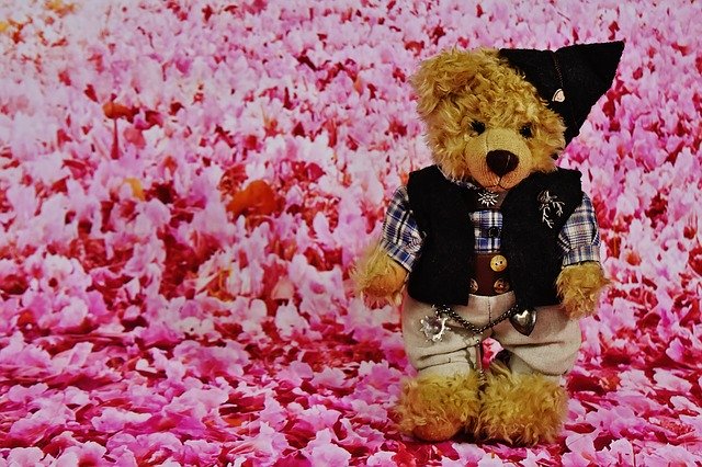 Free download Teddy Costume Flowers Soft -  free illustration to be edited with GIMP free online image editor