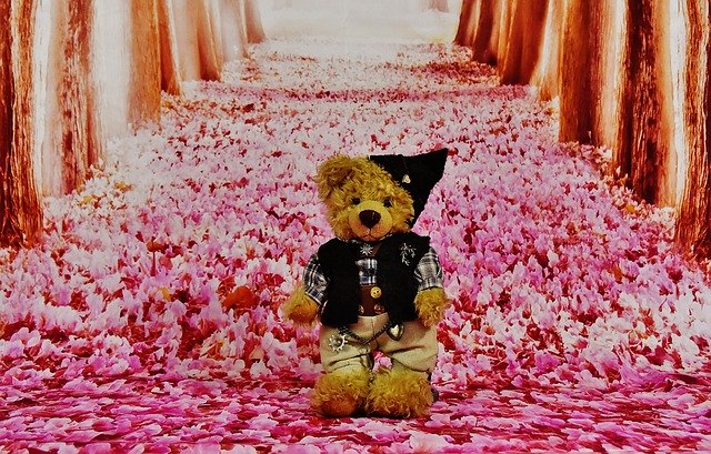 Free download Teddy Costume Forest -  free illustration to be edited with GIMP free online image editor