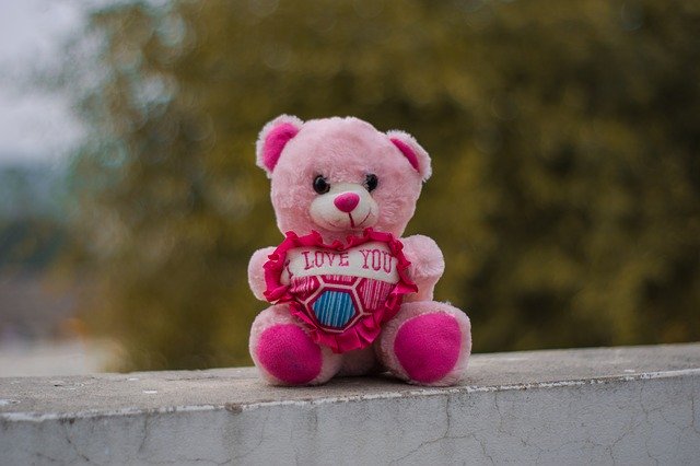 Free download Teddy Portrait Toys -  free photo or picture to be edited with GIMP online image editor