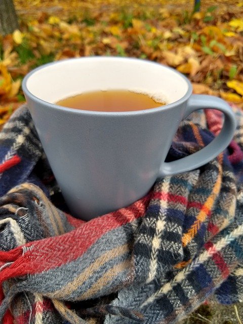 تنزيل Tee Cup Autumn مجانًا - صورة مجانية أو صورة يتم تحريرها باستخدام محرر الصور عبر الإنترنت GIMP