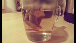 Free download Tee Pleasure Drink -  free video to be edited with OpenShot online video editor