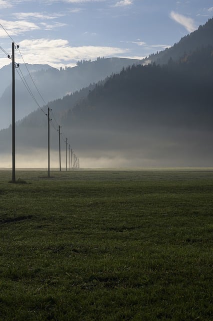 Kostenloser Download von Telegrafeninfrastruktur, Nebelwald, kostenloses Bild zur Bearbeitung mit dem kostenlosen Online-Bildeditor GIMP