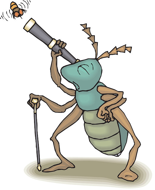 Free download Telescope Bug Fly - Free vector graphic on Pixabay free illustration to be edited with GIMP free online image editor