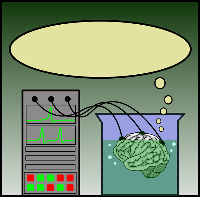 Téléchargement gratuit Modèle Cerveau Idées - Images vectorielles gratuites sur Pixabay illustration gratuite à modifier avec GIMP éditeur d'images en ligne gratuit