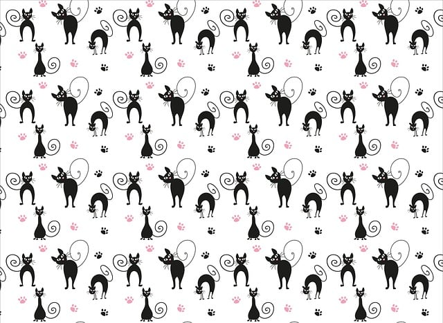 Free download template cute black fur cats free picture to be edited with GIMP free online image editor