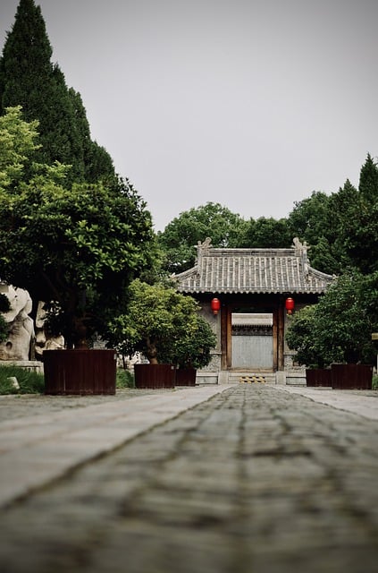 Free download temple asia nature road path free picture to be edited with GIMP free online image editor