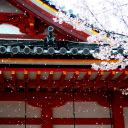 Temples Roofline Amidst Cherry Blossom Snow  screen for extension Chrome web store in OffiDocs Chromium