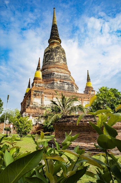 Free download Temple Thailand Palm -  free photo or picture to be edited with GIMP online image editor