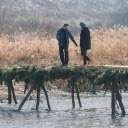 Temporary bridge across the stream  screen for extension Chrome web store in OffiDocs Chromium