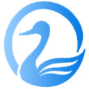 大白鹅 Temu跨境助手2025.04.29  screen for extension Chrome web store in OffiDocs Chromium