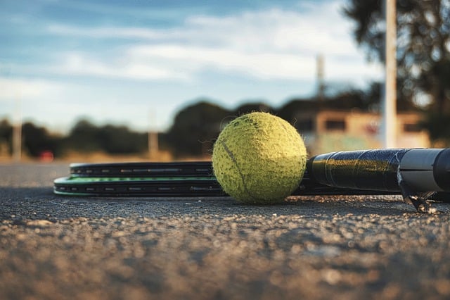 Free download tennis ball paddle sport exercise free picture to be edited with GIMP free online image editor