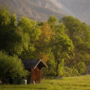 TENT Theme  screen for extension Chrome web store in OffiDocs Chromium