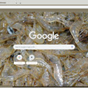 Tep  screen for extension Chrome web store in OffiDocs Chromium