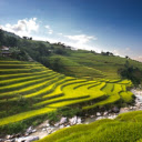 Terraced fields on the hills  screen for extension Chrome web store in OffiDocs Chromium